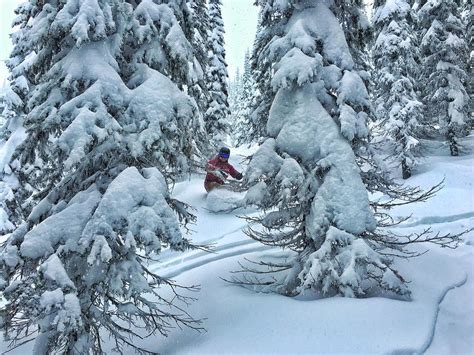 Whitefish Mountain Resort Whitefish Mountain Best Snow Northern Mt