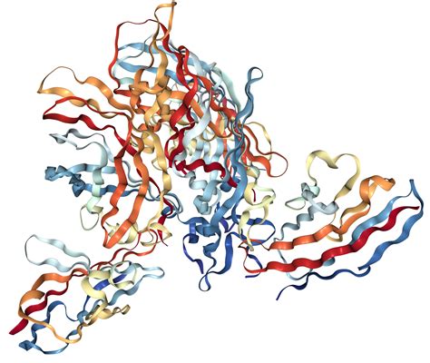 Jam Af11 Receptor Protein Overview Sino Biological