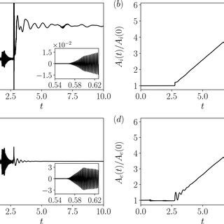 Evolution Of The Growth Rate And Perturbation Amplitude Of The Ion And