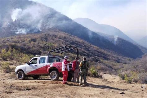 Reporta Conafor 84 incendios forestales activos en el país Dominio