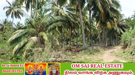 716 2 Acre Low Rate Coconut Farm Land For Sale In Anaimalai Area YouTube