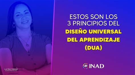 Cu Les Son Los Dos Principios De La Educaci N Inclusiva Aswa Es