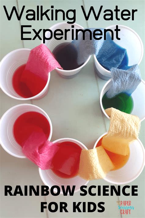 Walking Water Experiment Rainbow Science For Kids Worksheets Library