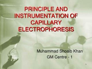 Ppt Principle And Instrumentation Of Capillary Electrophoresis