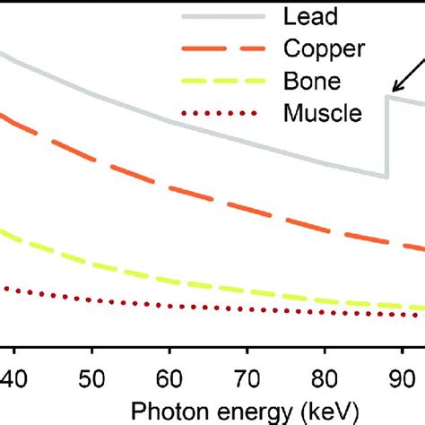 X Ray Mass Attenuation Coefficients For Lead Copper Cortical Bone