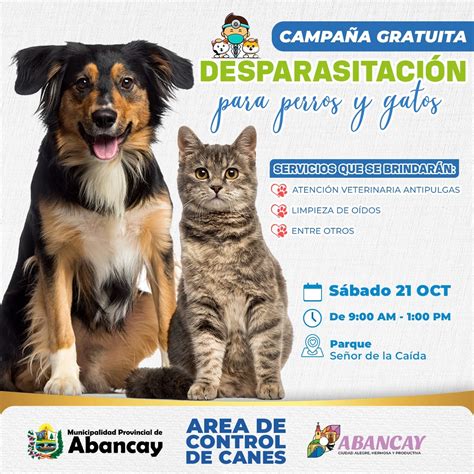 Campa A De Desparasitaci N Canina Y Felina Campa As