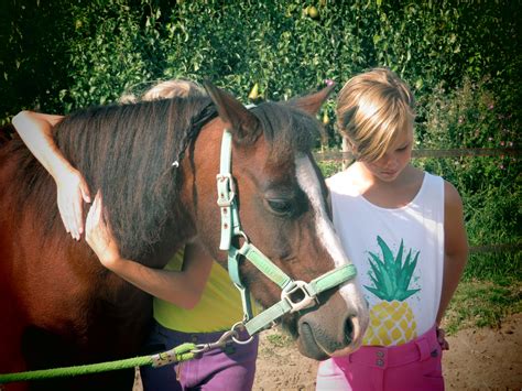 Paardencoaching Workshops En Trainingen Kinderen En Tieners In Je