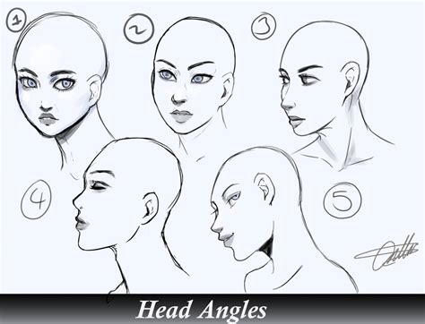 Head Angles Study. by RozuBurakku on DeviantArt