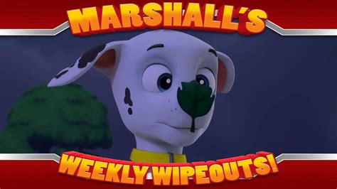 Marshall S Weekly Wipeouts Season S Pups Save A High Flying Skye