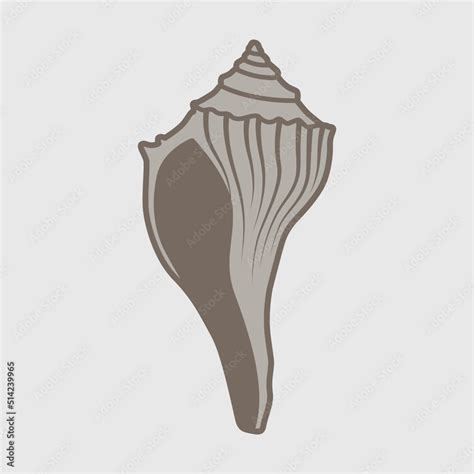 Seashell Clipart SVG Cut File Shellfish Svg Beach Shell Svg Ocean