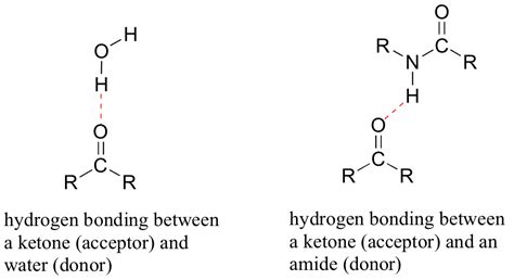 intermolecular forces - Why is a ketone not capable of hydrogen bonding ...