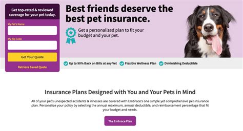 Best Pet Insurance Reviews - Insurancezob