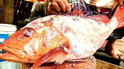 Giant Red Snapper Fish Cutting Skills Expensive Big Red Snapper Fish