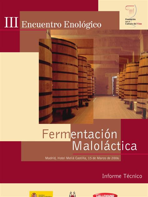 PDF Informe Técnico La Fermentación Maloláctica PDFSLIDE TIPS