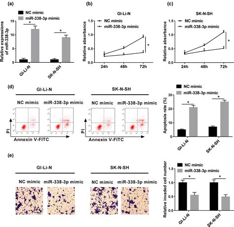 Mir 338 3p Inhibits Cell Growth Invasion And Emt Process In