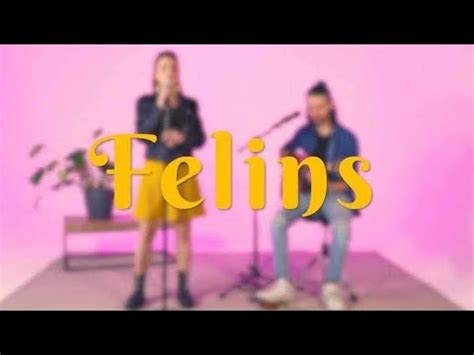 Felins - Teaser - YouTube