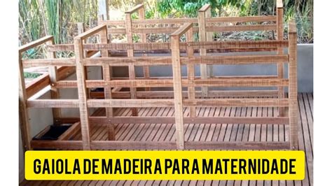 Como Fazer Gaiola De Maternidade Para Porca Youtube