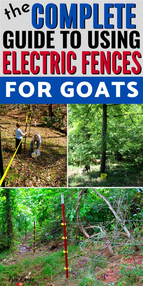 How To Install An Electric Fence For Goats At Angus Heyward Blog