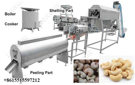 Automatic Cashew Nut Processing Machine Line Price 500 KG H