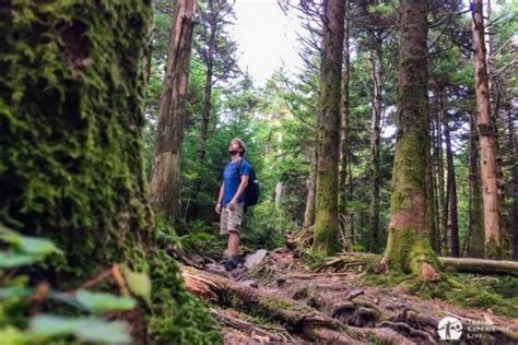 Hiking In Grayson Highlands State Park Virginia Travel Experience Live