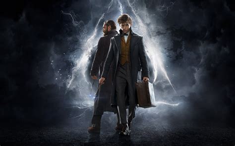 Newt Scamander 1080p 2k 4k Full Hd Wallpapers Backgrounds Free