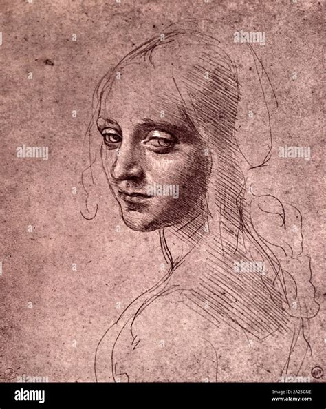 Study For The Angel S Head In The Virgin Of The Rocks By Leonardo Da