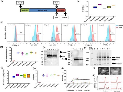 Chimeric Hiv Env Gene Construct And Characterization Of Vlps A