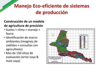 Ecosistemas Estrategicos Altillanura Colombia Ppt