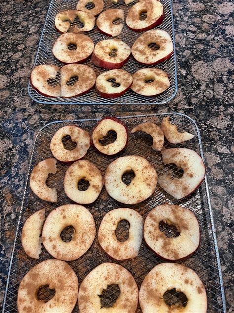 Cinnamon Sugar Air Fryer Apple Chips