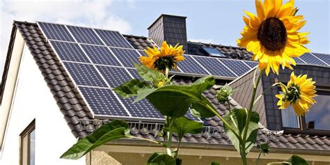 Cómo instalar placas solares en casa y sus beneficios