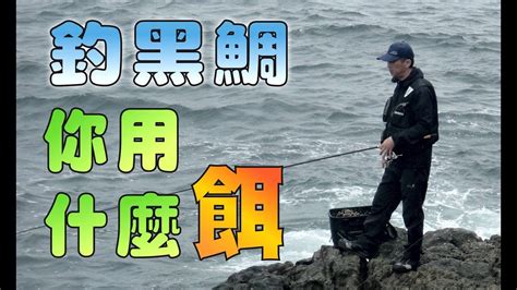 【磯釣】釣黑鯛你用什麼餌？ 32集 【呈洋】黑鯛 Youtube