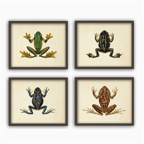 Frog Art Print Etsy