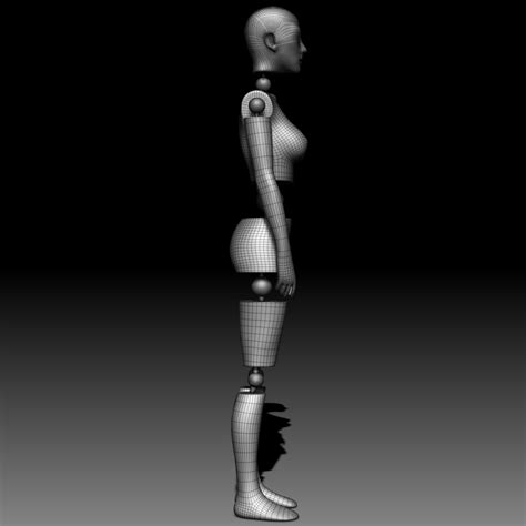 Mannequin Female 3d Model 9 3ds Fbx Ma Max Obj C4d Ztl Free3d