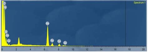 High magnification scanning electron microscopy photographs of (a ...