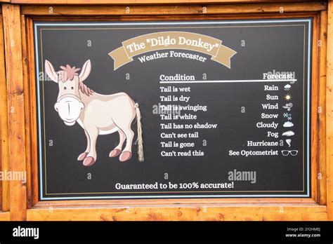 Dildo Donkey Weather Forecaster Sign At Bill Pretty Memorial Playground In Dildo Newfoundland