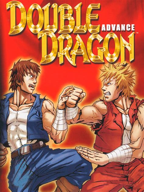 Double Dragon Advance Stash Games Tracker