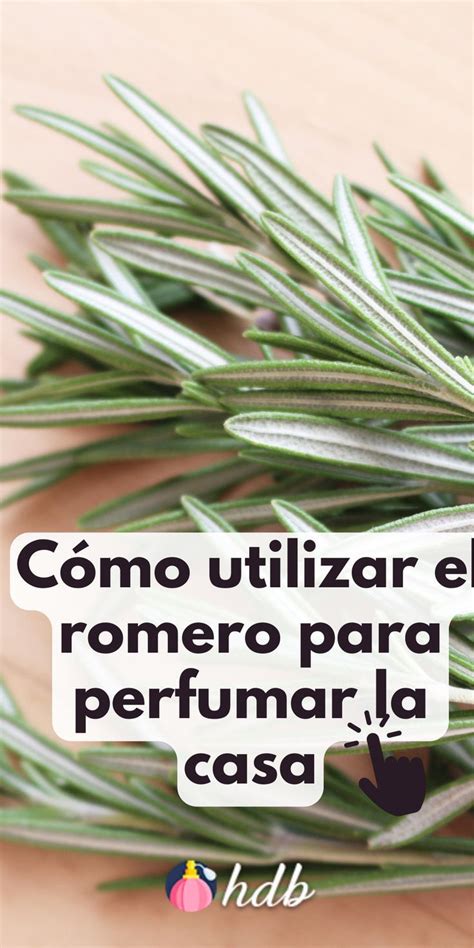 C Mo Utilizar El Romero Para Perfumar La Casa En Como Aromatizar