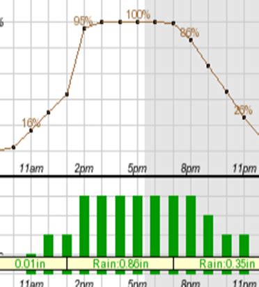 Hourly Weather Forecast Information