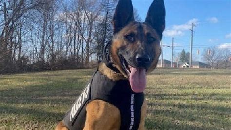 Indiana State Police Departments K9 Rando Has Received Donation Of