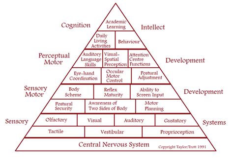 Sensory Integration