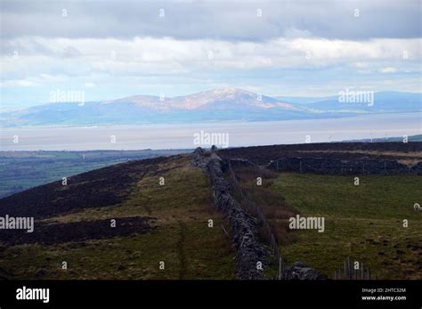 The Solway Firth And Criffel In Scotland From The Dry Stone Wall On The