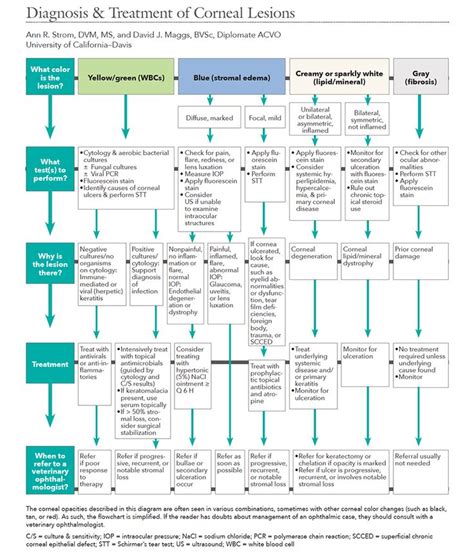 Veterinary antibiotics chart