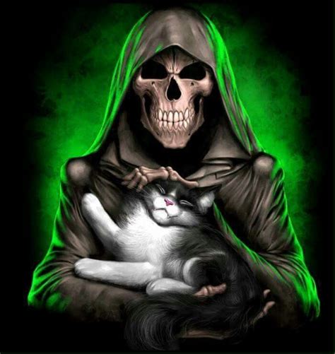 Grim Reaper With Kitten Grim Reaper Fictional Characters Dreams And