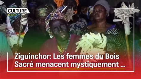 Ziguinchor Indignation Des Femmes Du Bois Sacre Youtube