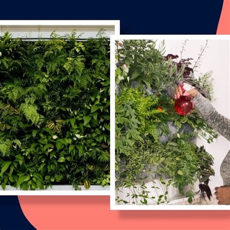 How To Make A Living Wall For Your Home