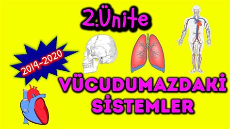 Sinif Ders N Te V Cudumuzdak S Stemler