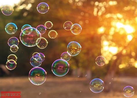 160 Bubbles Photoshop Overlays Soap Bubbles Overlay Png Etsy