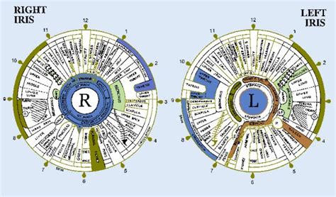 Nlp Eye Chart