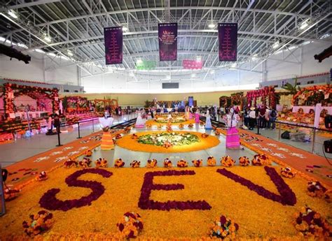 Realizan en Veracruz el altar de muertos más grande del mundo Zenyazen