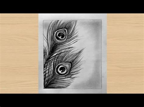 Peacock Feather Pencil Sketch